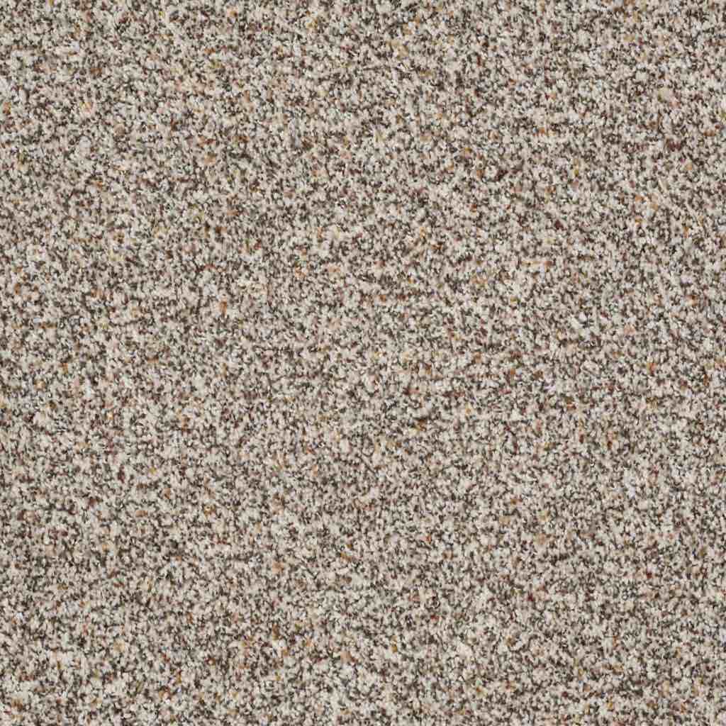 Treat-Me-Shaw-Carpet-Floors-Orange-County-Carpet-Installation-Company.jpg