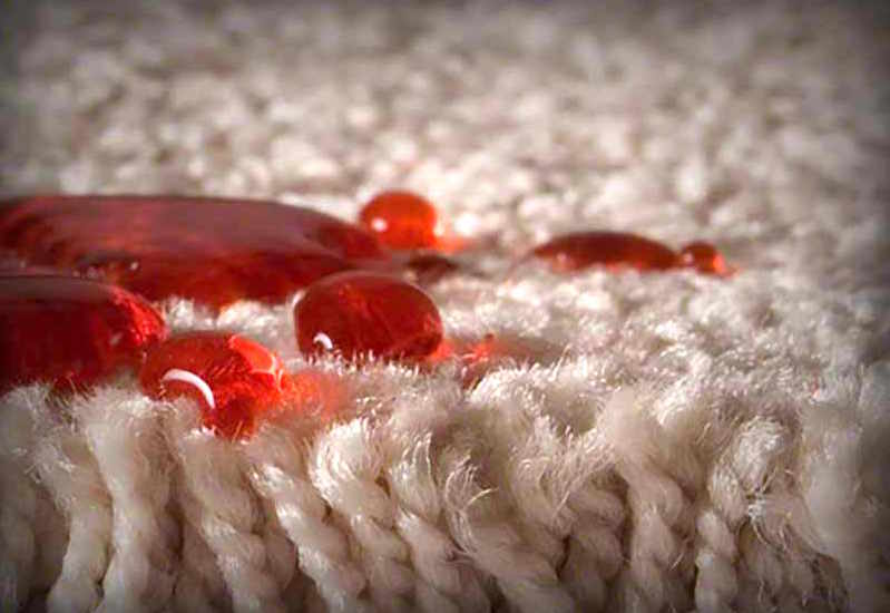 stain-resistant-carpet Orange County Carpet Installation Services