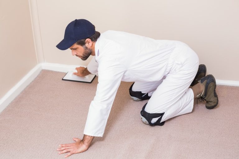 4 Things to Look for When Hiring a Carpet Installation Company Orange
